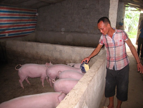 Con đường hoàn lương của một học sinh vùng quê nghèo ảnh 1