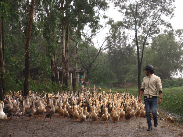 Có một vùng "đất nở hoa" ảnh 1