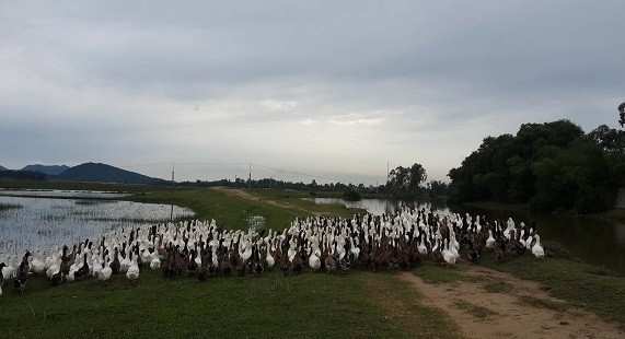 Có một vùng "đất nở hoa" ảnh 3