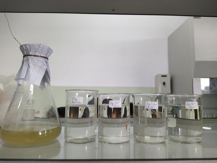 Hình ảnh sau 60 phút xử lý, sự khác biệt giữa mẫu nước sông chưa qua xử lý (màu vàng) và các mẫu nước đã được xử lý và lọc sơ bộ là rất rõ ràng. Đây sẽ là một ứng dụng đóng góp cho vấn đề xử lý nhiễm mặn ở miền Tây một cách hiệu quả trong tương lai gần. Hình ảnh sau 60 phút xử lý, sự khác biệt giữa mẫu nước sông chưa qua xử lý (màu vàng) và các mẫu nước đã được xử lý và lọc sơ bộ là rất rõ ràng. Đây sẽ là một ứng dụng đóng góp cho vấn đề xử lý nhiễm mặn ở miền Tây một cách hiệu quả trong tương lai gần.