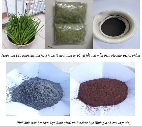 Một số hình ảnh về nghiên cứu Sản xuất than sinh học biochar nguồn gốc từ cây bèo lục bình. Một số hình ảnh về nghiên cứu Sản xuất than sinh học biochar nguồn gốc từ cây bèo lục bình.