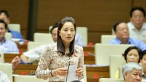 Bộ trưởng Phùng Xuân Nhạ đã nhận trách nhiệm gì trước Quốc hội? ảnh 3 Bộ trưởng Phùng Xuân Nhạ đã nhận trách nhiệm gì trước Quốc hội? ảnh 3