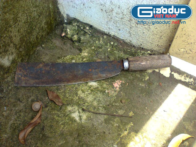 Con dao được hung thủ dùng làm vũ khí của vụ trọng án