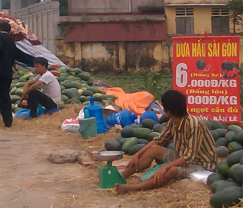Dưa Sài Gòn bầy la liệt khắp đường phố Hà Nội