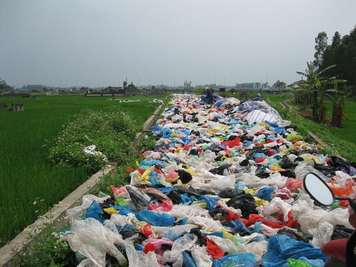 Cánh đồng quê phủ đầy màu sắc của nilong Cánh đồng quê phủ đầy màu sắc của nilong