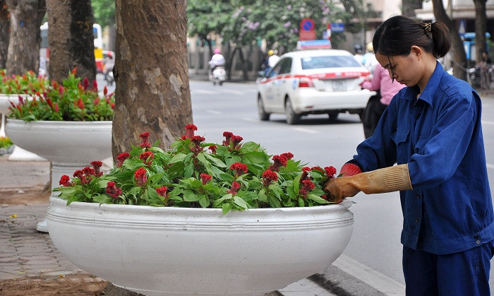 Các công nhân công ty Cây xanh Hà Nội đang chăm sóc những bồn hoa trên hồ Hoàn Kiếm. Các công nhân công ty Cây xanh Hà Nội đang chăm sóc những bồn hoa trên hồ Hoàn Kiếm.