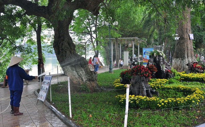 Công nhân chăm sóc cây xanh vẫn làm công việc thường ngày của mình.