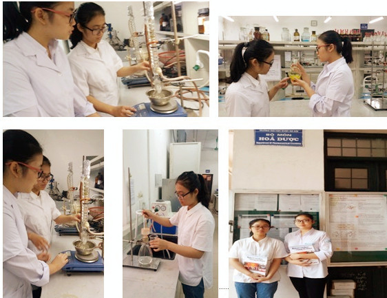 Việt Nam chỉ xếp sau Mỹ, Ấn Độ về dự án đoạt giải khoa học kỹ thuật quốc tế ảnh 2