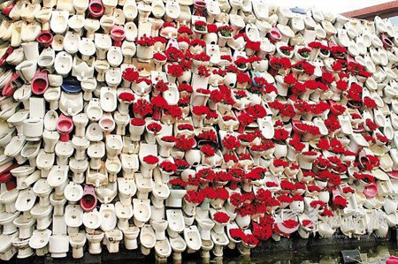 Tỏ tình kiểu cắm hoa ở bồn cầu Tỏ tình kiểu cắm hoa ở bồn cầu