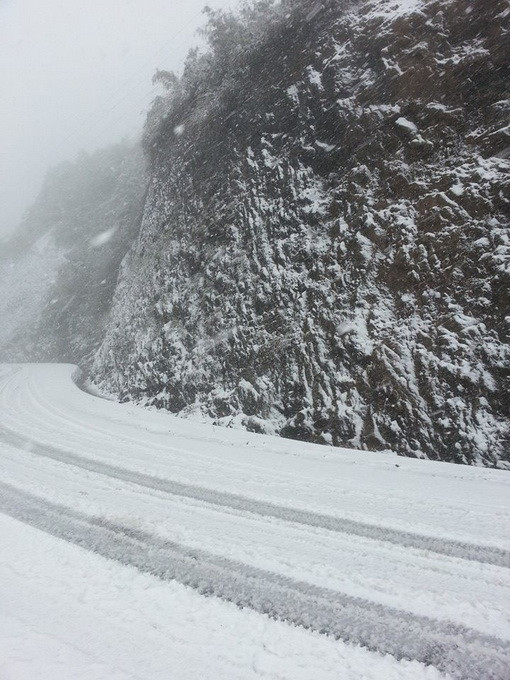 Tuyết phủ kín các vách núi. Ảnh Tuổi Trẻ