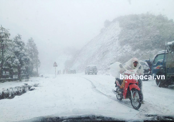 Tuyết phủ trắng đường đi. Ảnh: Báo Lào Cai