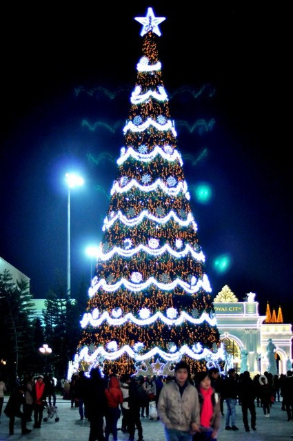 Cây thông tỏa sáng rực rỡ trong đêm mùa đông ở Quảng trường TTTM Royal City.