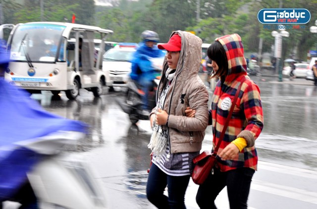 Mọi người đều khoác áo ấm khi ra đường. Mọi người đều khoác áo ấm khi ra đường.