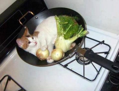 xông hơi đúng cách xông hơi đúng cách