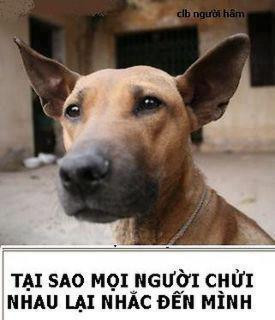 Chiều chiều ra đứng ngõ sau Nhớ về "câu nói" ruột đau chín chiều Chiều chiều ra đứng ngõ sau Nhớ về "câu nói" ruột đau chín chiều