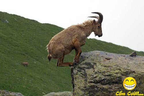 Yêu anh chẳng quản núi cao Núi mà cao quá em lao xuống liền Yêu anh chẳng quản núi cao Núi mà cao quá em lao xuống liền