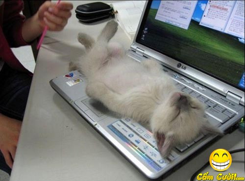 Niềm vui là phải chia đôi Anh chơi với desk (desktop), tôi ngồi cái key( keyboard) Niềm vui là phải chia đôi Anh chơi với desk (desktop), tôi ngồi cái key( keyboard)