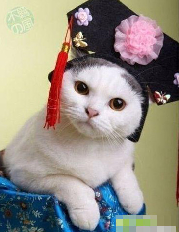 Mày làm gì đó thằng kia Chị đang nude đấy có gì ngó đâu Mày làm gì đó thằng kia Chị đang nude đấy có gì ngó đâu