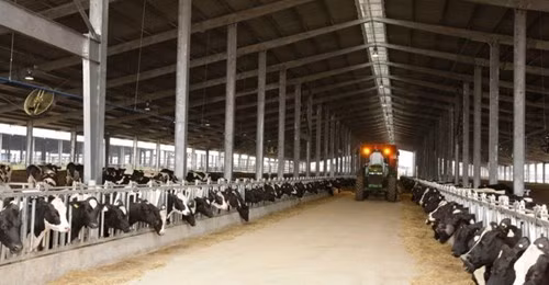 Trang trại chăn nuôi bò sữa tập trung, ứng dụng công nghệ cao của Tập đoàn TH (sở hữu thương hiệu TH true MILK) tại huyện Nghĩa, tỉnh Nghệ An - ảnh nguồn TH. Trang trại chăn nuôi bò sữa tập trung, ứng dụng công nghệ cao của Tập đoàn TH (sở hữu thương hiệu TH true MILK) tại huyện Nghĩa, tỉnh Nghệ An - ảnh nguồn TH.