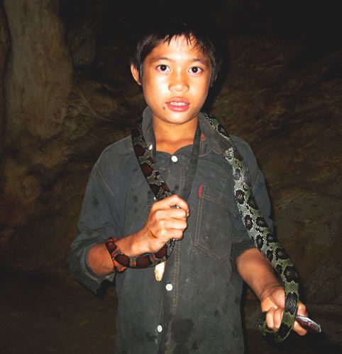 Chiều cùng ngày, được sự vận động của gia đình và mọi người, Hiển đã đem con rắn thả lại chỗ cũ.