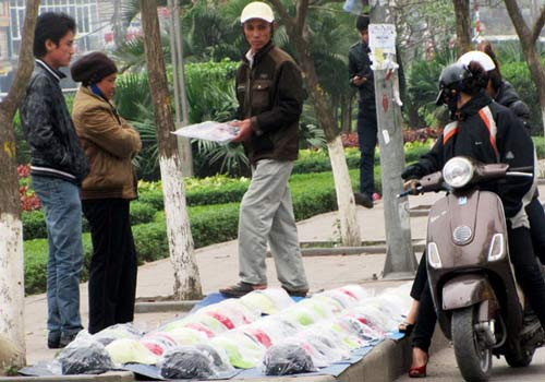 Đi xe "xịn" mua nhưng mua mũ rởm