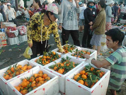 Trái cây nhập khẩu từ Trung Quốc được giữ tươi rất lâu Trái cây nhập khẩu từ Trung Quốc được giữ tươi rất lâu