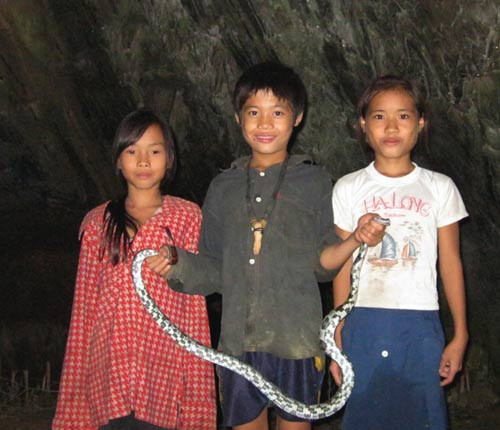 Nhiều người đã từng bắt gặp nhưng không ai dám bắt rắn vì sợ.