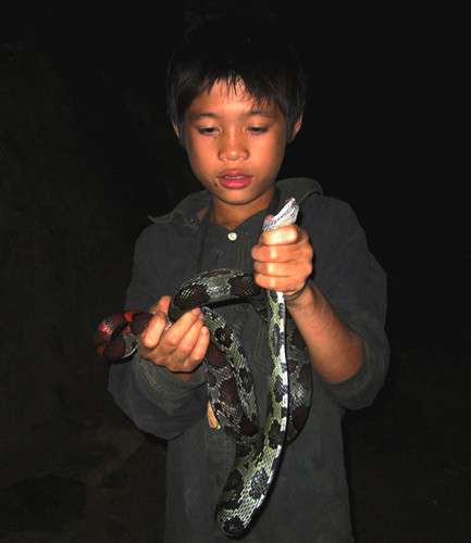 Nguyễn Trọng Hiển với con rắn lạ