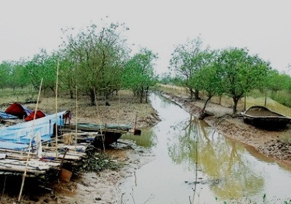 Khu đầm gia đình ông Đoàn Văn Vươn tan hoang sau vụ cưỡng chế. Khu đầm gia đình ông Đoàn Văn Vươn tan hoang sau vụ cưỡng chế.