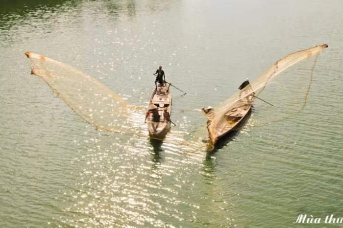 Đôi thuyền song song sóng sánh nước