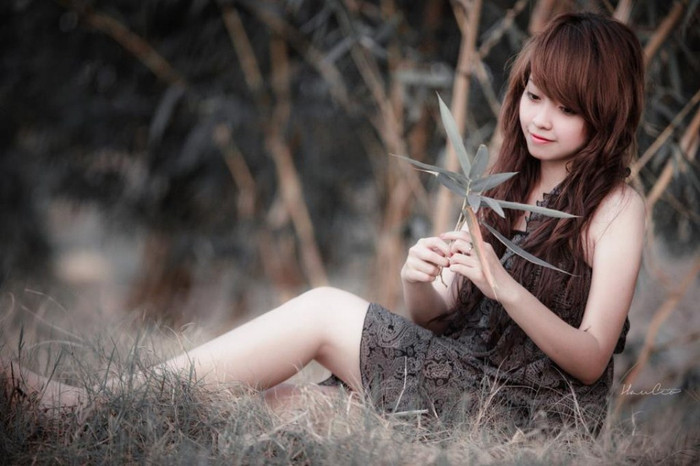 TRA CỨU ĐIỂM THI ĐẠI HỌC CAO ĐẲNG 2012 TRA CỨU ĐIỂM THI ĐẠI HỌC CAO ĐẲNG 2012