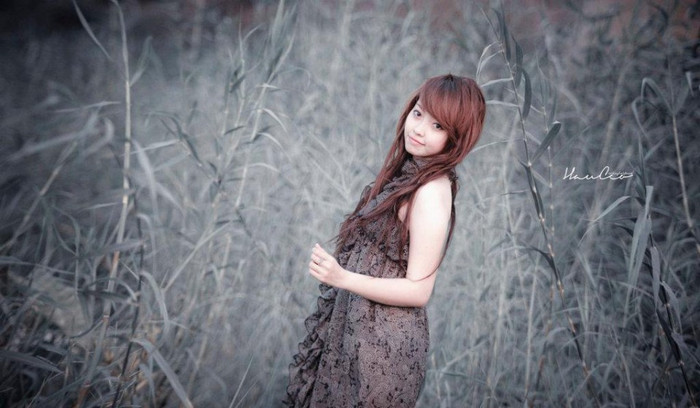 TRA CỨU ĐIỂM THI ĐẠI HỌC CAO ĐẲNG 2012 TRA CỨU ĐIỂM THI ĐẠI HỌC CAO ĐẲNG 2012