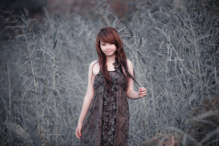 TRA CỨU ĐIỂM THI ĐẠI HỌC CAO ĐẲNG 2012 TRA CỨU ĐIỂM THI ĐẠI HỌC CAO ĐẲNG 2012