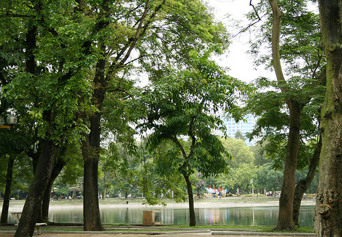 /Uploaded/thuhien/2012_06_11/20120611-151950-1-484038540-f78a563a16.jpeg