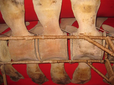 Những đoạn xương sống được ghép chặt và có đoạn đã bị bung ra Những đoạn xương sống được ghép chặt và có đoạn đã bị bung ra