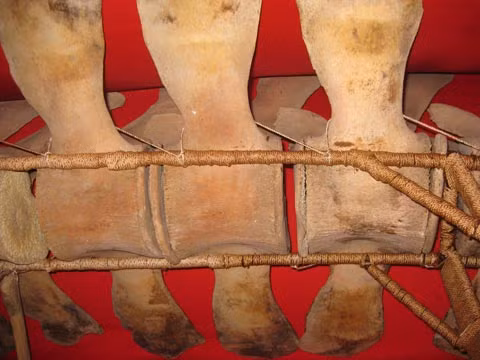 Những đoạn xương sống được ghép chặt và có đoạn đã bị bung ra