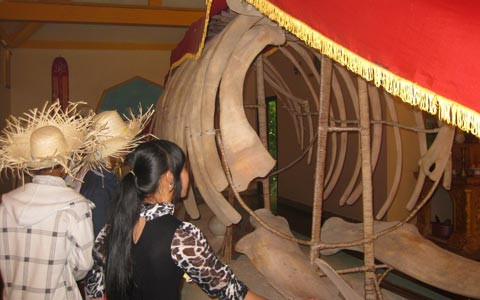 Rất nhiều học sinh tại Cà Mau sau khi tốt nghiệp căng thẳng đã chọn nơi đây để đi du lịch và tham quan Rất nhiều học sinh tại Cà Mau sau khi tốt nghiệp căng thẳng đã chọn nơi đây để đi du lịch và tham quan