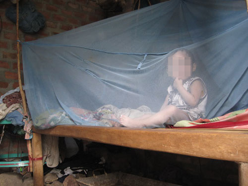 Cháu Núi ở trong chòi một mình mỗi khi T.A đi chăn bò Cháu Núi ở trong chòi một mình mỗi khi T.A đi chăn bò