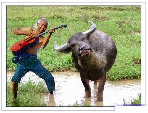 "Và mình cùng hát lên nào lời tình tha thiết..." "Và mình cùng hát lên nào lời tình tha thiết..."