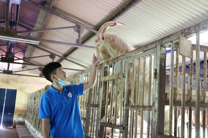 Cậu bé tân sinh viên bước vào giảng đường đại học cũng là lúc tìm kiếm công việc làm thêm (Ảnh nhân vật cung cấp)