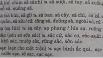 Người Việt nói và viết sai tiếng Việt thành quen ảnh 3