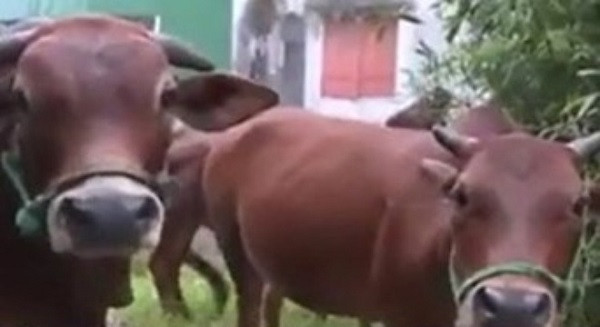 Tản mạn về cánh đồng, mặt trời và con đường ảnh 1 Tản mạn về cánh đồng, mặt trời và con đường ảnh 1