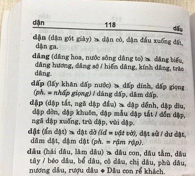 Đại diện NXB Thanh Niên nói gì về cuốn “Từ điển chính tả…sai chính tả”? (Ảnh: Thùy Linh)