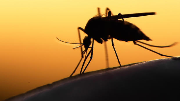 TP.HCM phát hiện thêm 6 trường hợp nhiễm Zika - ảnh minh họa/ nguồn Hà Nội Mới. TP.HCM phát hiện thêm 6 trường hợp nhiễm Zika - ảnh minh họa/ nguồn Hà Nội Mới.