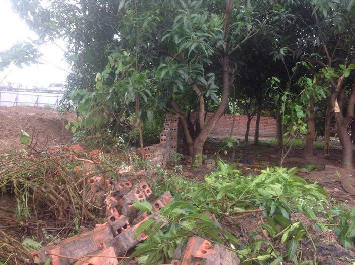 Cây cối, tường rào khu trang trại của bà Trần Mỹ Hạnh và 08 hộ dân thuộc phường Trần Phú đã bị công nhân của Công ty Gamuda Land Việt Nam phá hủy. Ảnh do người dân cung cấp.