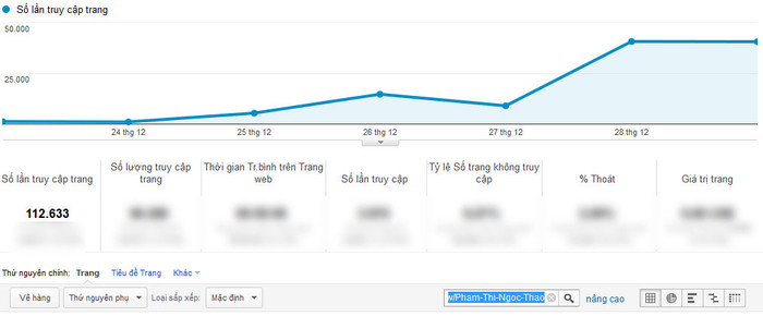 Chỉ số Google Analytics ấn tượng của Phạm Thị Ngọc Thảo
