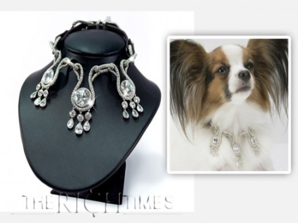 Amour, Amour Đây là chiếc vòng đắt nhất trong bộ sưu tập và cũng là chiếc vòng cổ cho chó đắt nhất thế giới. Người thiết kế đã gắn trên nó 1600 viên kim cương, trong đó nổi bật nhất là 3 viên kim cương 7 carat cỡ lớn. Tổng cộng số kim cương này nặng tới 52 carat. Ngoài ra, chiếc vòng còn được tô điểm thêm bởi vàng trắng 18 carat và da cá sấu nhằm tạo độ bền và sự thoải mái cho thú cưng. Để sở hữu chiếc vòng, người mua phải bỏ ra một khoản tiền khổng lồ 3,2 triệu USD.