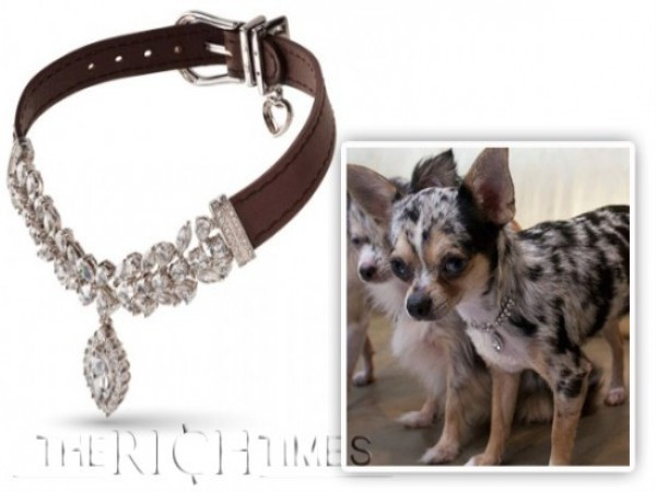 La Jeune Tulipe Tâm điểm của La Jeune Tulipe là viên kim cương mặt cắt hình bầu dục nặng 1,52 carat. Chiếc vòng được làm hoàn toàn bằng thủ công với độ chính xác tuyệt đối. Nhà thiết kế đã vô cùng kỳ công khi sắp xếp và gắn kết những viên kim cương nhỏ hình quả lê lại với nhau tạo thành một chuỗi kim cương sáng lấp lánh. Với giá 150.000 USD, đây là chiếc vòng có giá thấp nhất trong bộ sưu tập.