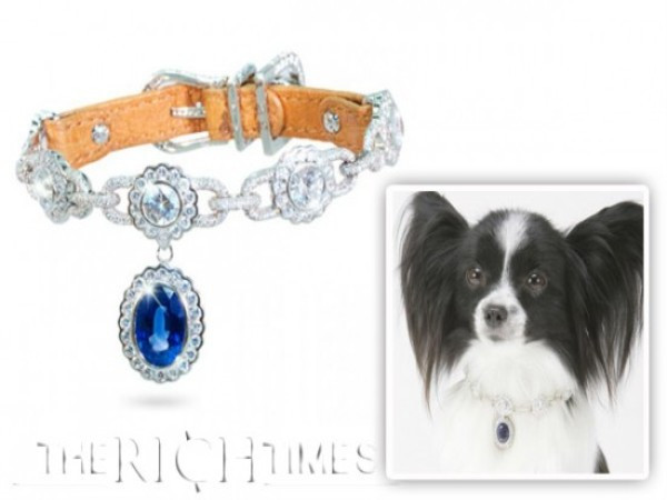 Amour de la Mer Cũng được gọi là “Tình yêu của biển”, chiếc vòng cổ này hút người xem bởi một viên sapphire 8,5 carat màu xanh dương. Ngoài ra, nó còn được gắn thêm 600 viên kim cương nhỏ bao quanh. Chiếc vòng còn được đính thêm một dải da đà điểu nhằm tạo sự mềm dẻo và giúp chú chó cử động linh hoạt. Tất nhiên, giá của nó cũng gây “choáng váng” không kém: 899.000 USD.