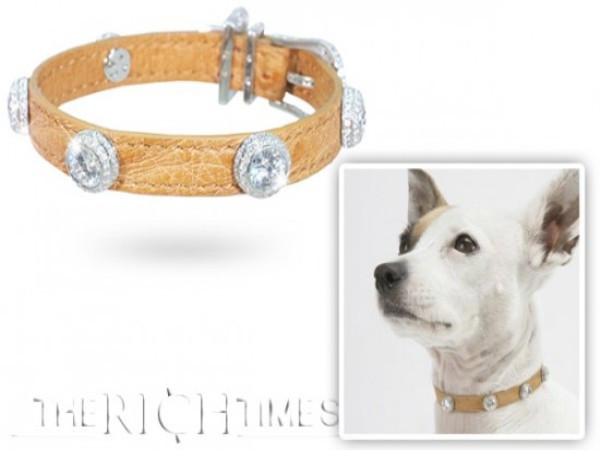 L’Étoile Chú chó cưng của bạn sẽ trở thành ngôi sao sáng nhất khi nó đeo trên mình chiếc vòng L’Étoile nặng 27 carat này. Điểm nhấn của chiếc vòng làm bằng da đà điểu là 5 viên kim cương rực rỡ bao quanh, mỗi viên nặng 1,5 carat. Ngoài ra, nó còn được đính thêm 400 viên kim cương nhỏ. L’Étoile được bán với giá 518.000 USD.